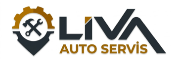 LİVA Auto Servis - Batman oto servis ana sayfa